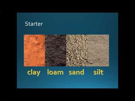 silt soil in tagalog